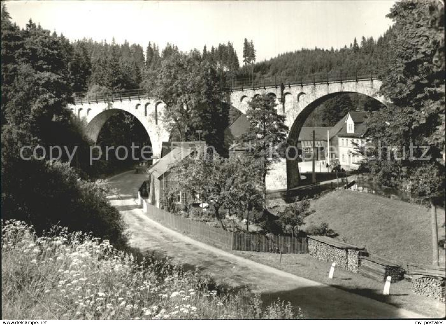 72266443 Wurzbach Im Sornitzgrund An Baerenmuehle Wurzbach - A Identifier