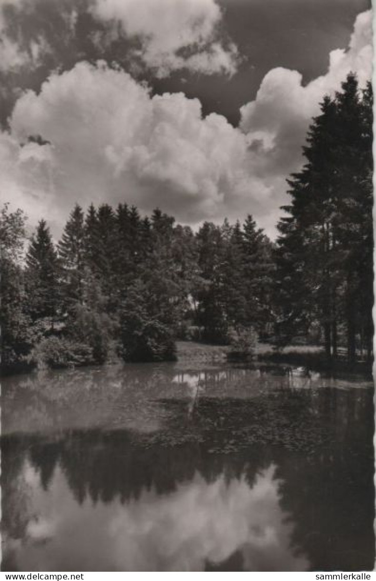 57969 - Bad Steben - Kurpark - Am Weiher - 1953 - Bad Steben