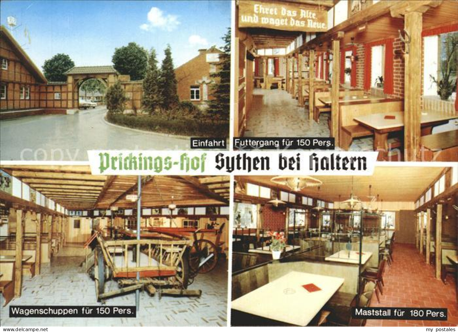 72264647 Sythen Prickings-Hof  Haltern Am See - Haltern