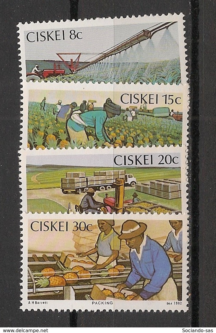 CISKEI - 1982 - N°YT. 26 à 29 - Fruits / Ananas / Pineapple - Neuf Luxe ** / MNH / Postfrisch - Ciskei