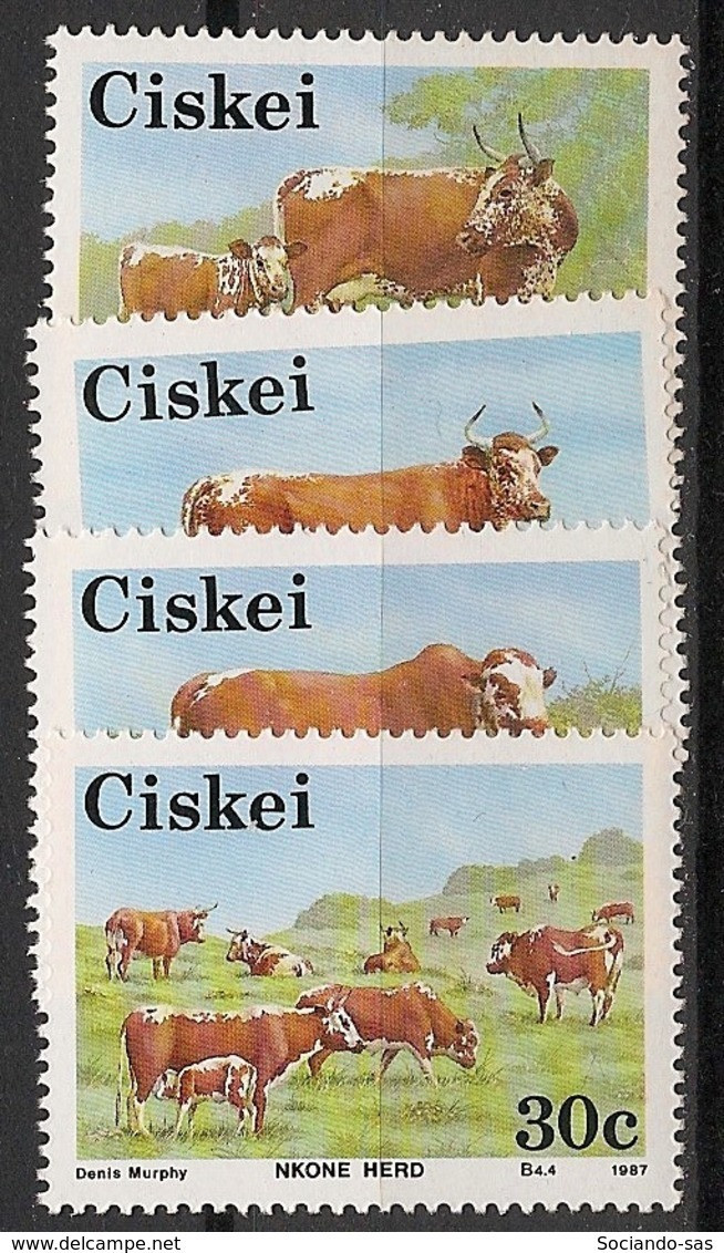 CISKEI - 1987 - N°YT. 115 à 118 - Vaches - Neuf Luxe ** / MNH / Postfrisch - Ciskei