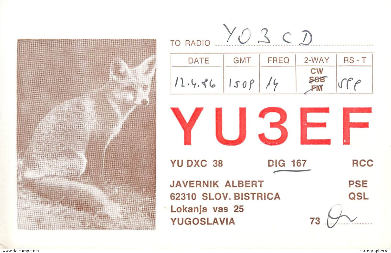 QSL Card Yugoslavia Amateur Radio Station YU3EF Y03CD 1986 Javernik Albert Fox - Radio Amateur