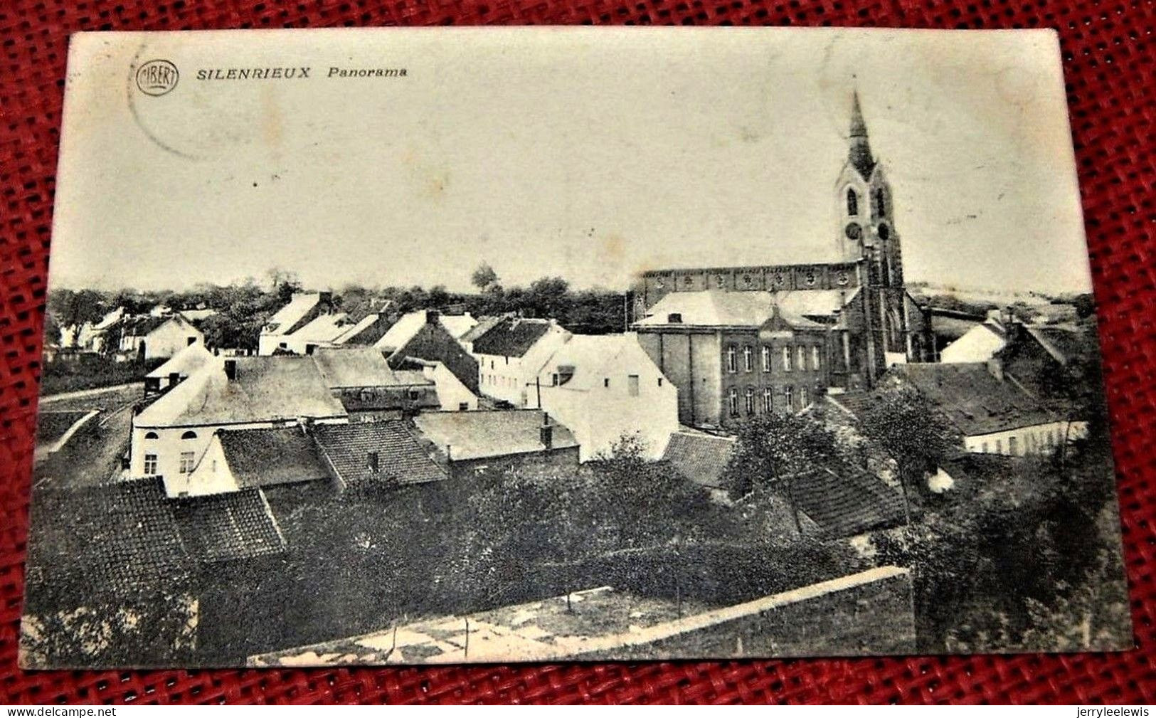 SILENRIEUX  -  Panorama - Cerfontaine