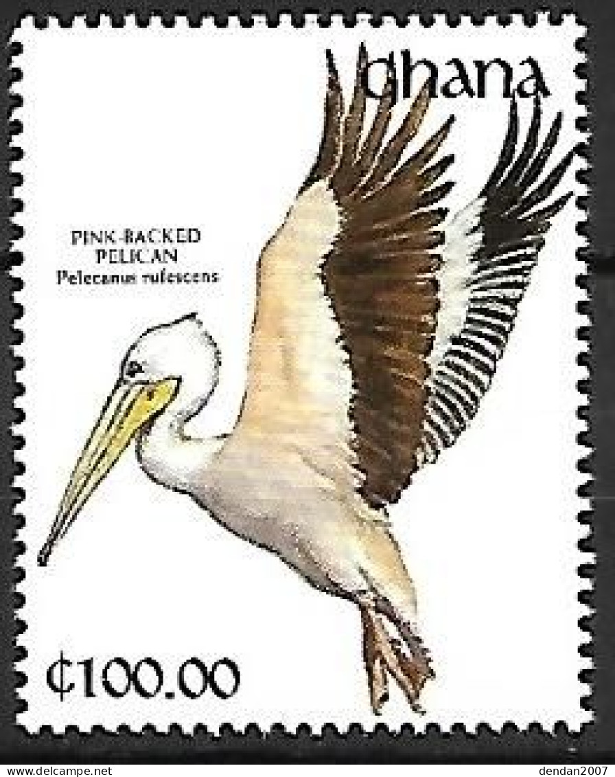 Ghana - MNH ** 1991 : Pink-backed Pelican  -  Pelecanus Rufescens - Pelikanen