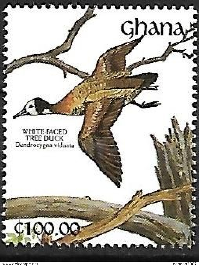 Ghana - MNH ** 1991 :   White-faced Whistling Duck  -  Dendrocygna Viduata - Entenvögel