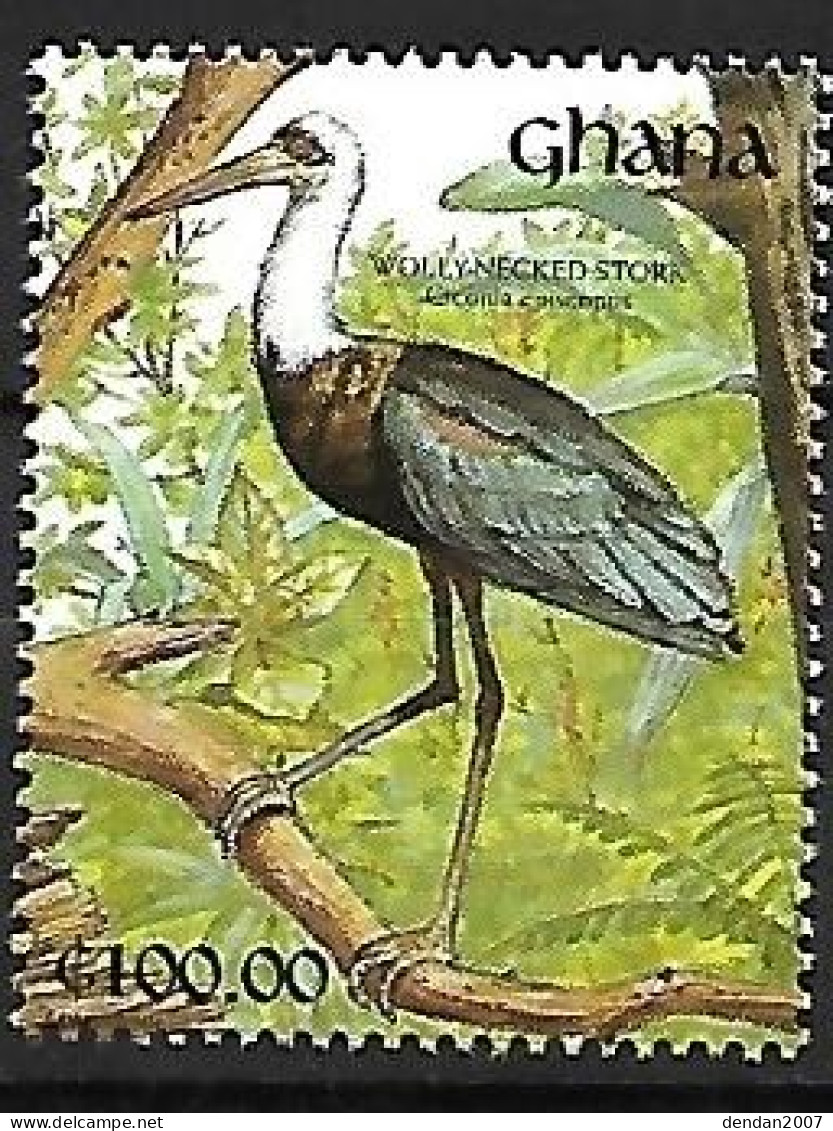 Ghana - MNH ** 1991 :  African Woolly-necked Stork  -  Ciconia Microscelis - Cigognes & échassiers