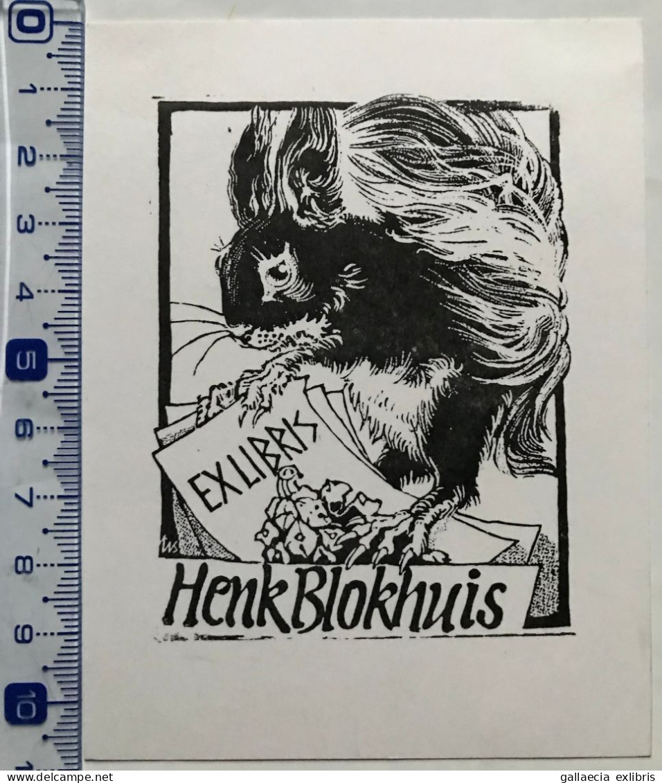 Exlibris Har Siekman. Écureuil. Ex-libris Har Siekman. Squirrel - Ex-libris