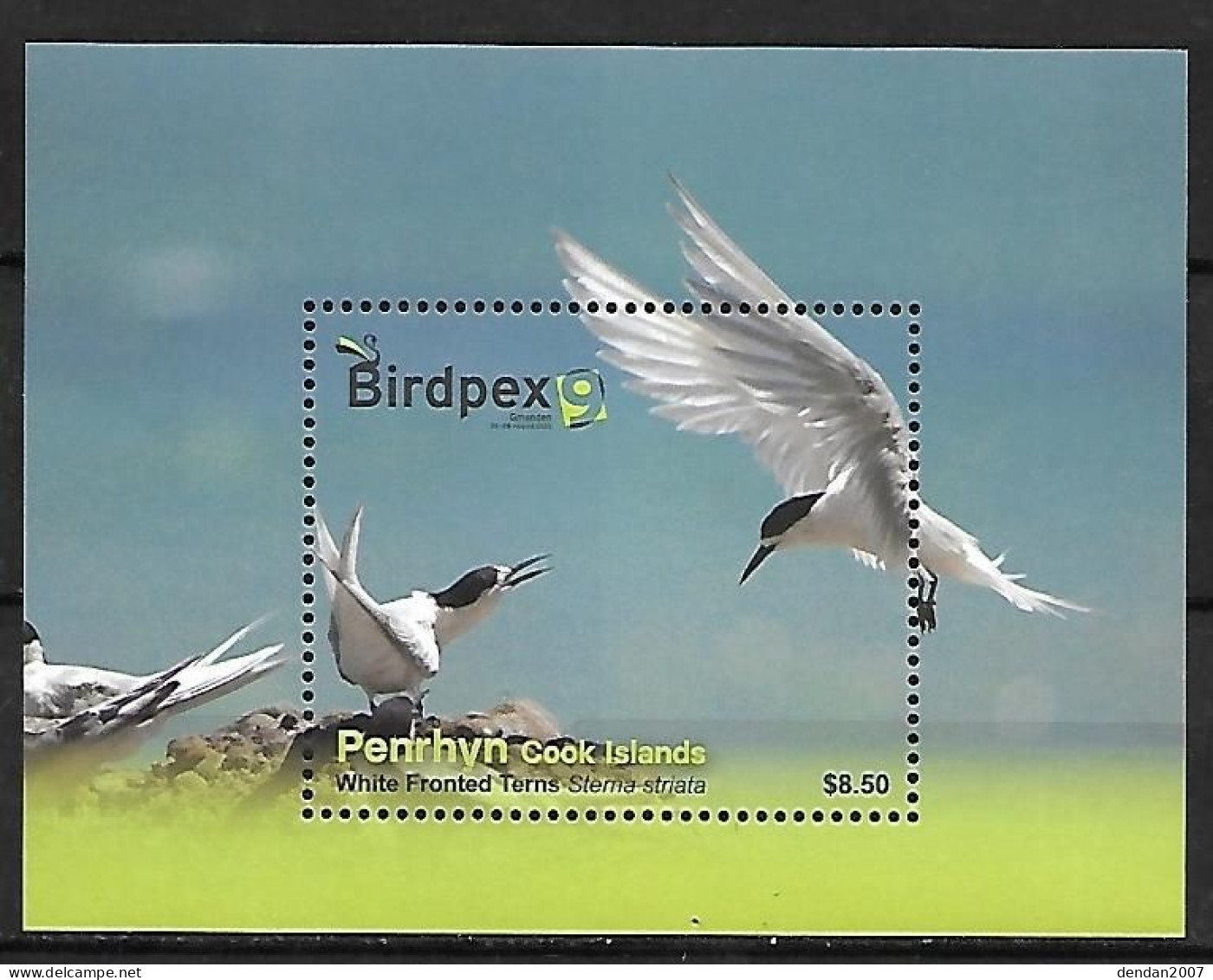 Penrhyn (Cook Islands) - MNH ** 2022 - Birdpex 9 : White-fronted Tern - Sterna Striata - Gaviotas