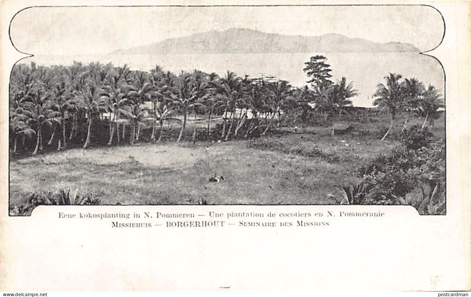Papua New Guinea - NEW BRITAIN Neupommern - A Coconut Plantation - Publ. Mission From Borgerhout  - Papouasie-Nouvelle-Guinée