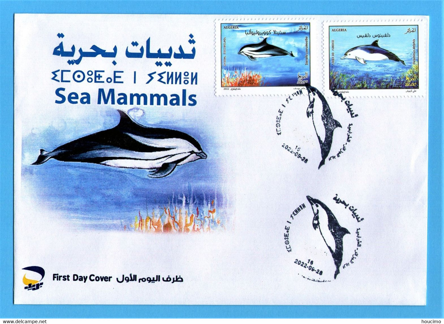 2022 Algérie - Delfines