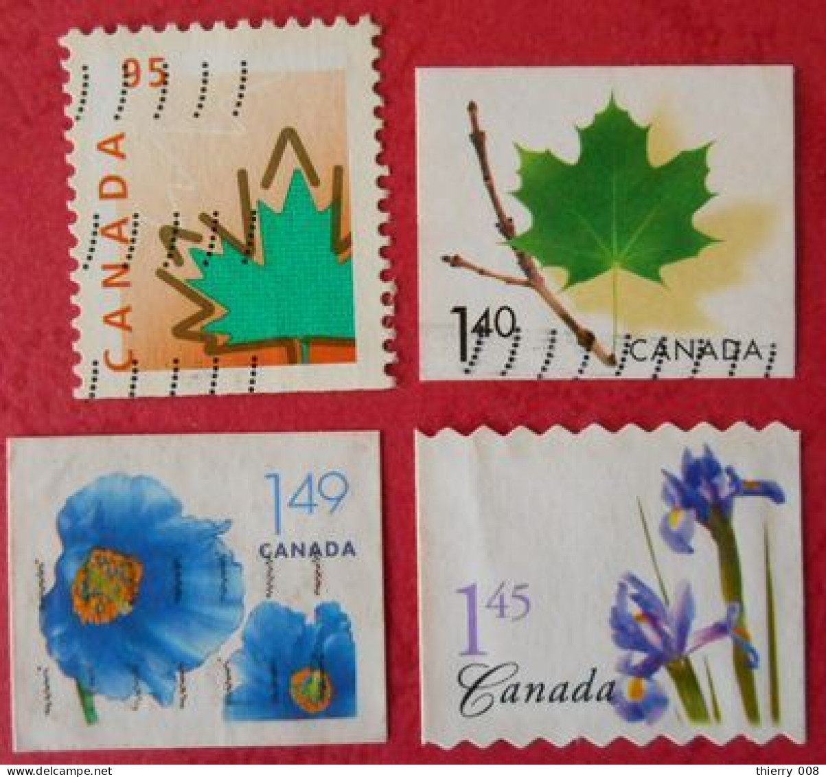 46 Canada Nature Fleurs Feuilles - Trees