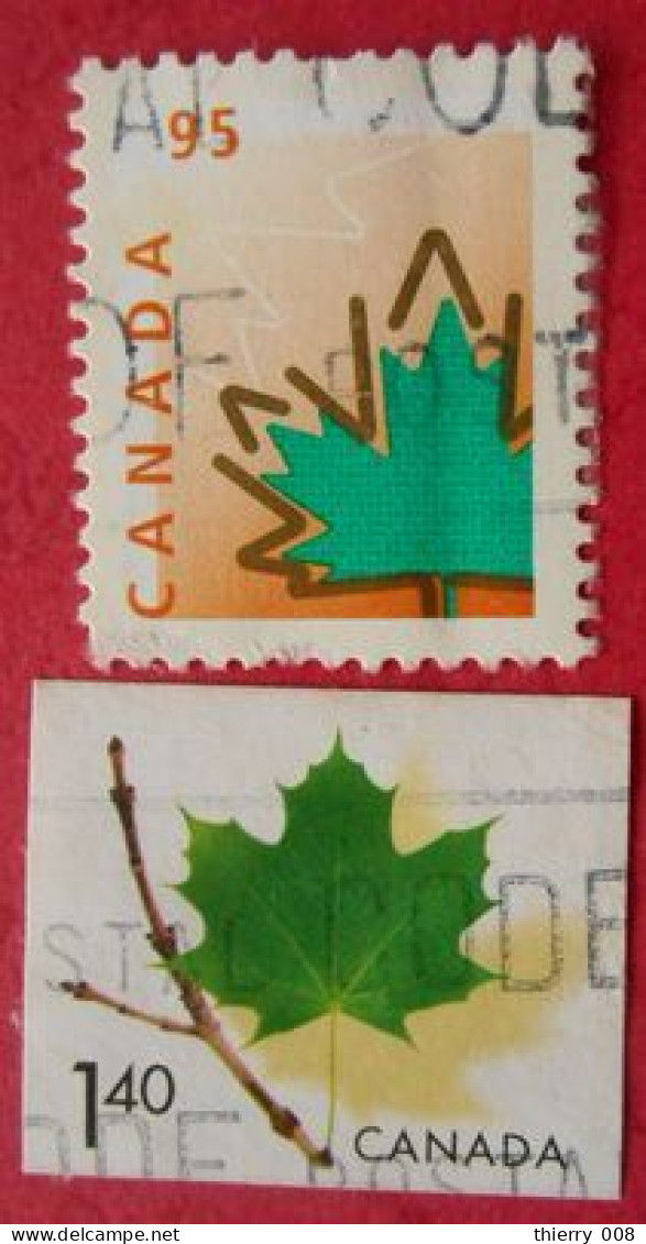 48 Canada Feuilles Arbre Erable - Trees