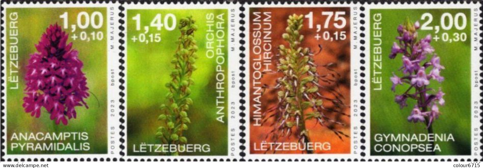 Luxembourg 2023 Orchids Stamps 4v MNH - Ongebruikt