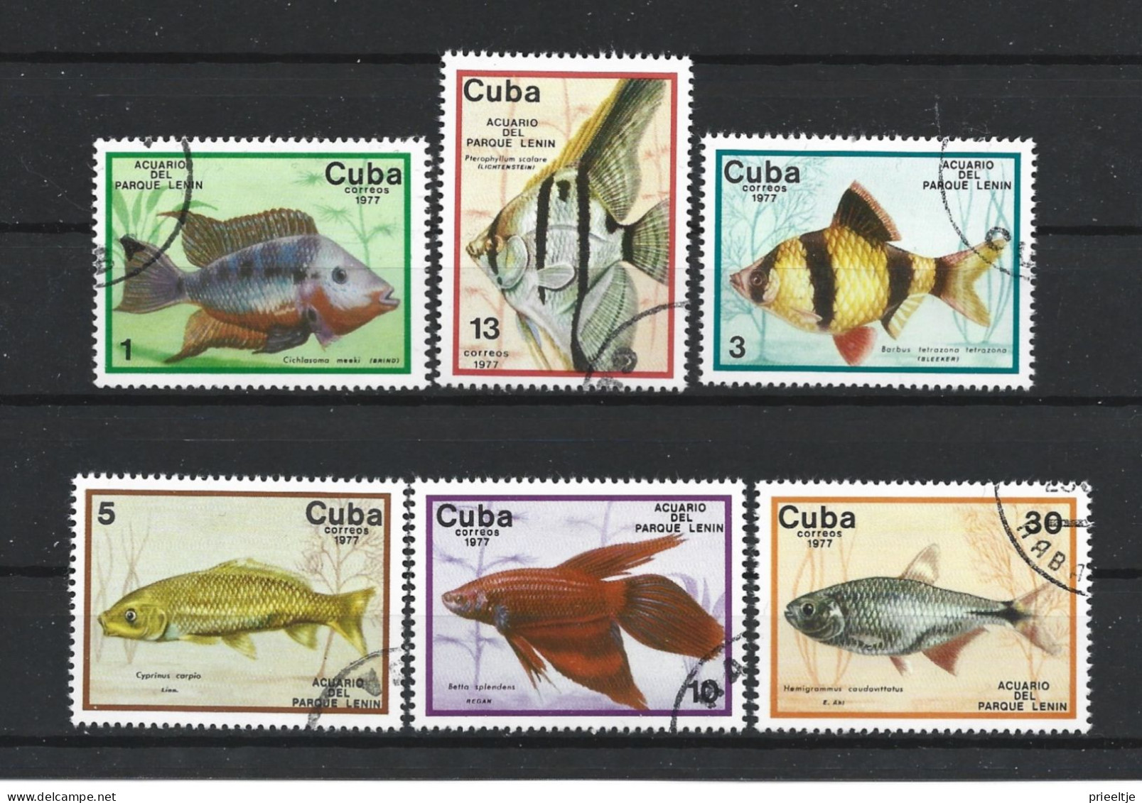 Cuba 1977 Fish  Y.T. 1993/1998 (0) - Used Stamps