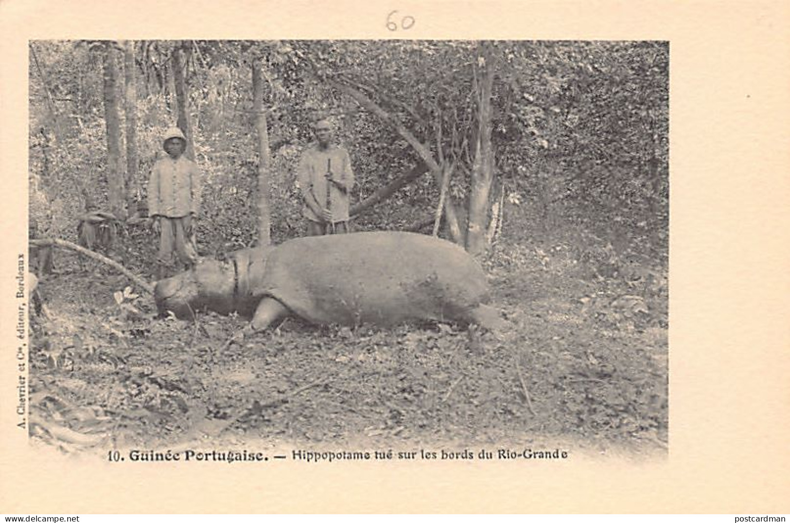 Guinea Bissau - Hippopotamus Hunted On The Rio-Grande - Publ. A. Chevrier & Cie 10 - Guinea-Bissau