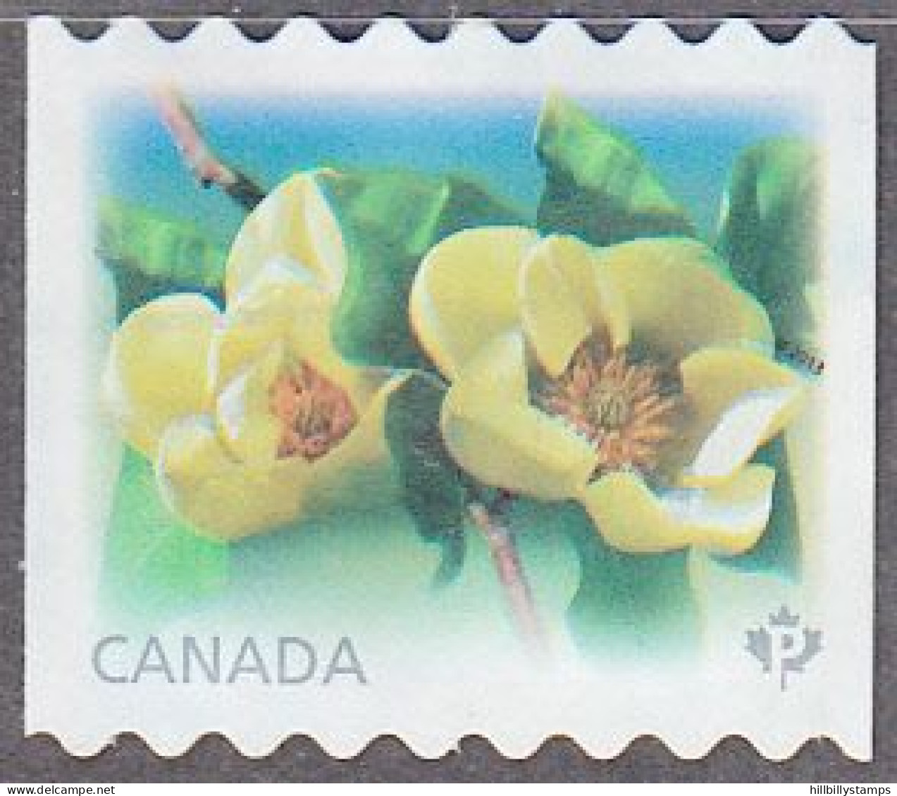 CANADA    SCOTT NO 2622  USED  YEAR  2013 - Gebraucht