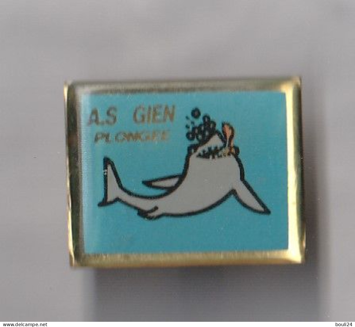 PIN'S THEME  SPORT   PLONGEE  CLUB DE GIEN   DANS LE LOIRET   TRES RARE - Diving