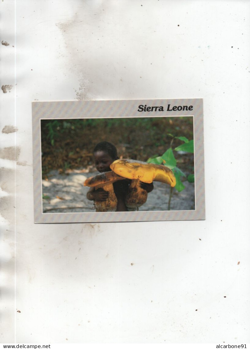 SIERRA LEONE - Ile Des Tortues - Champignons Géants - Sierra Leone