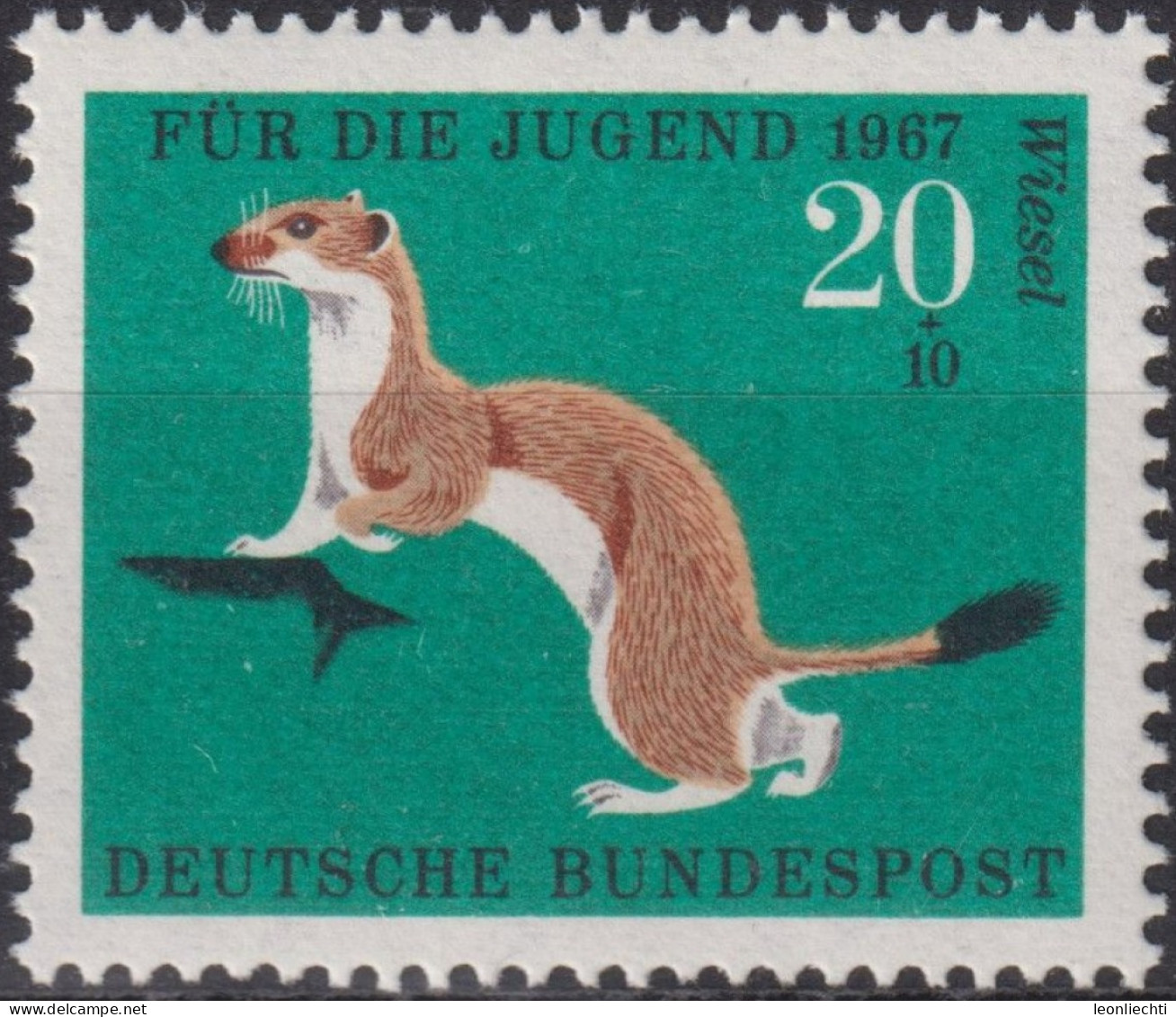 1967 Deutschland > BRD, ** Mi:DE 530, Sn:DE B423, Yt:DE 388, Hermelin, Stoat (Mustela Erminea), Pelztiere - Animalez De Caza