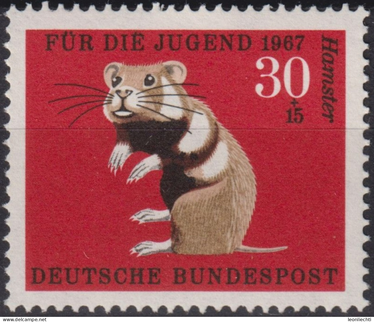 1967 Deutschland > BRD, ** Mi:DE 531, Sn:DE B424, Yt:DE 389, European Hamster (Cricetus Cricetus) - Roditori