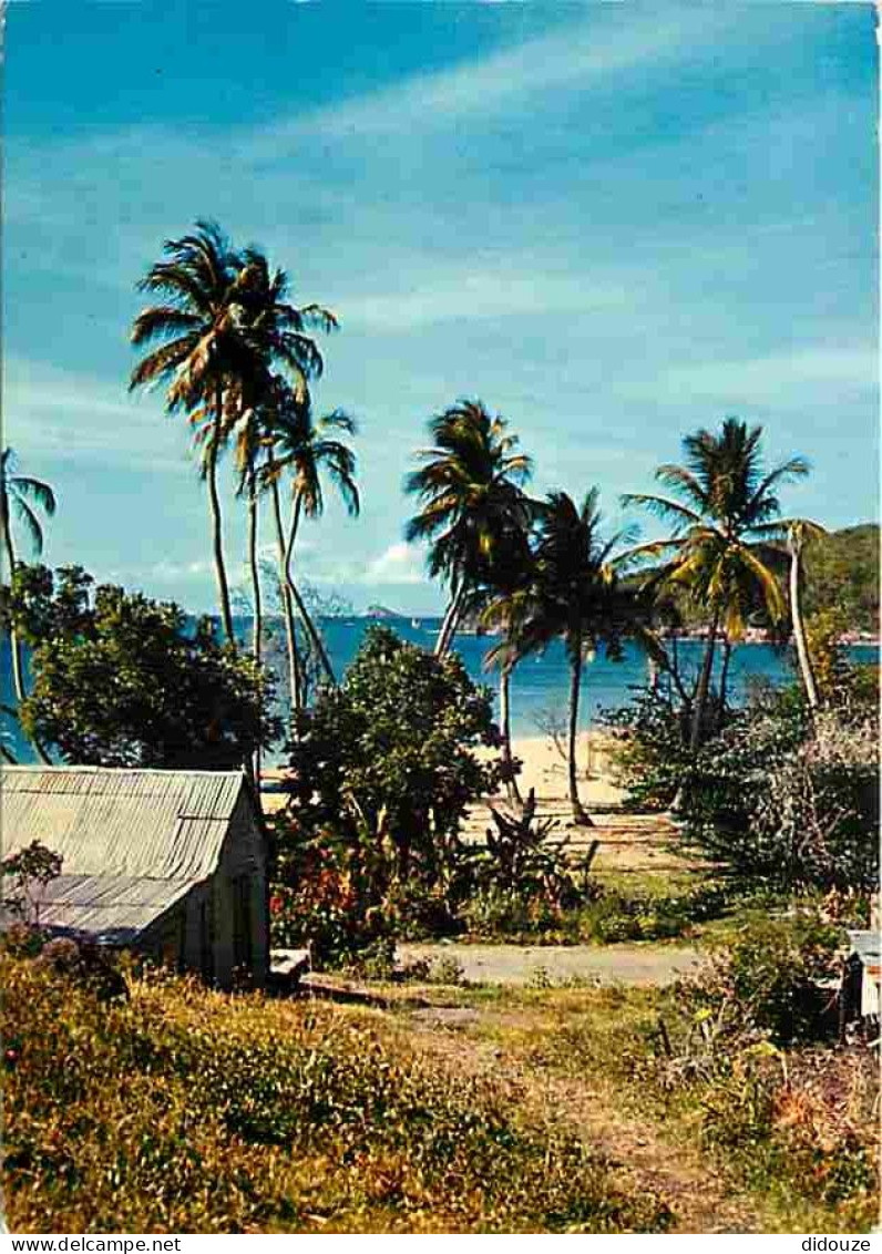 Antilles - Rivage Caraibe - CPM - Voir Scans Recto-Verso - Andere & Zonder Classificatie