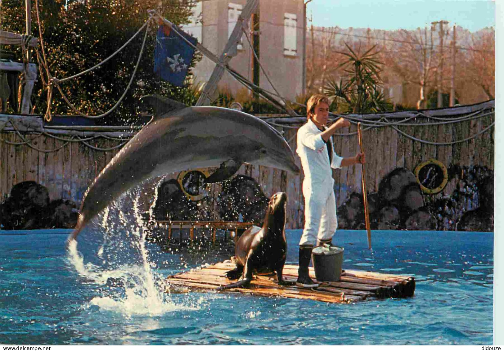 Animaux - Marineland Antibes - Soigneur Avec Dauphin Et Otarie - Dolphins - Zoo Marin - CPM - Carte Neuve - Voir Scans R - Delfini