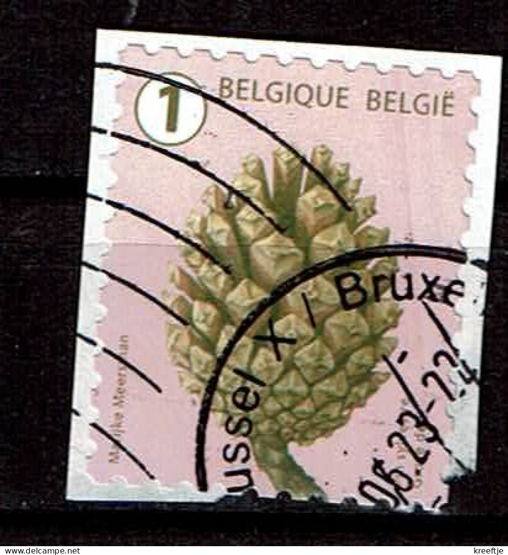 België / Belgique / Belgium / Belgien Grove Den 2021(OBP 5023 ) - Used Stamps