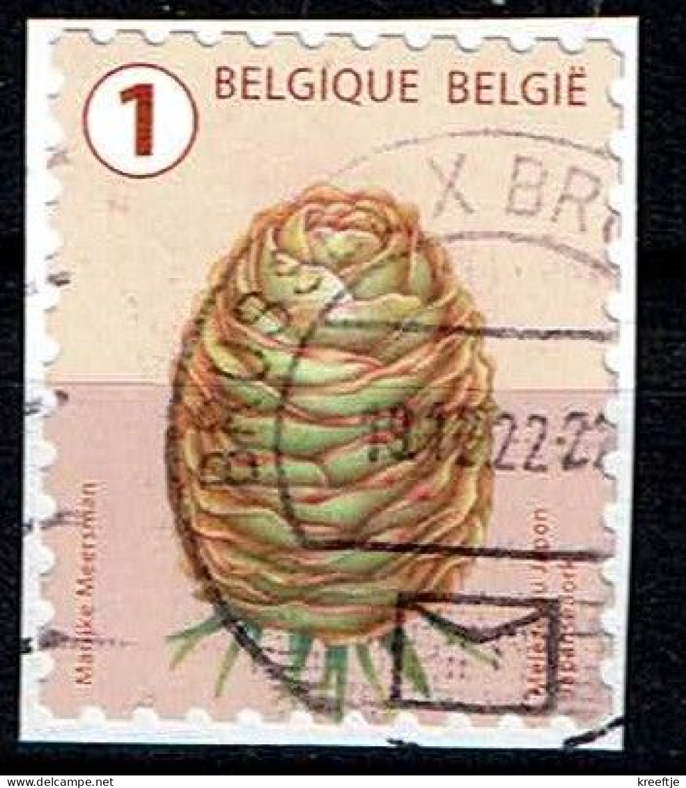 België / Belgique / Belgium / Belgien Japanse Lork 2021 (OBP 5021 ) - Gebruikt