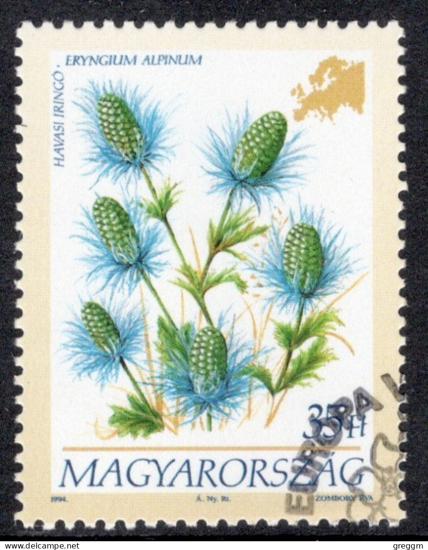 Hungary 1994  Single Stamp Celebrating European Flowers In Fine Used - Gebruikt