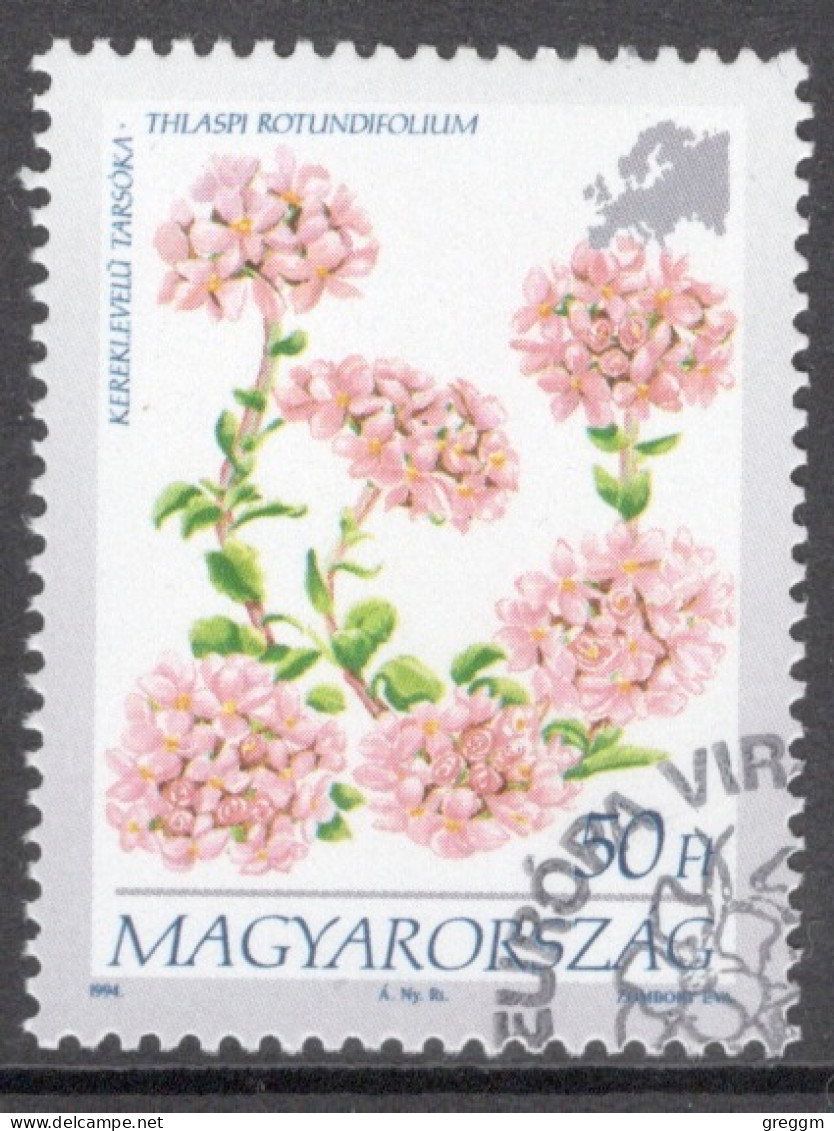 Hungary 1994  Single Stamp Celebrating European Flowers In Fine Used - Used Stamps