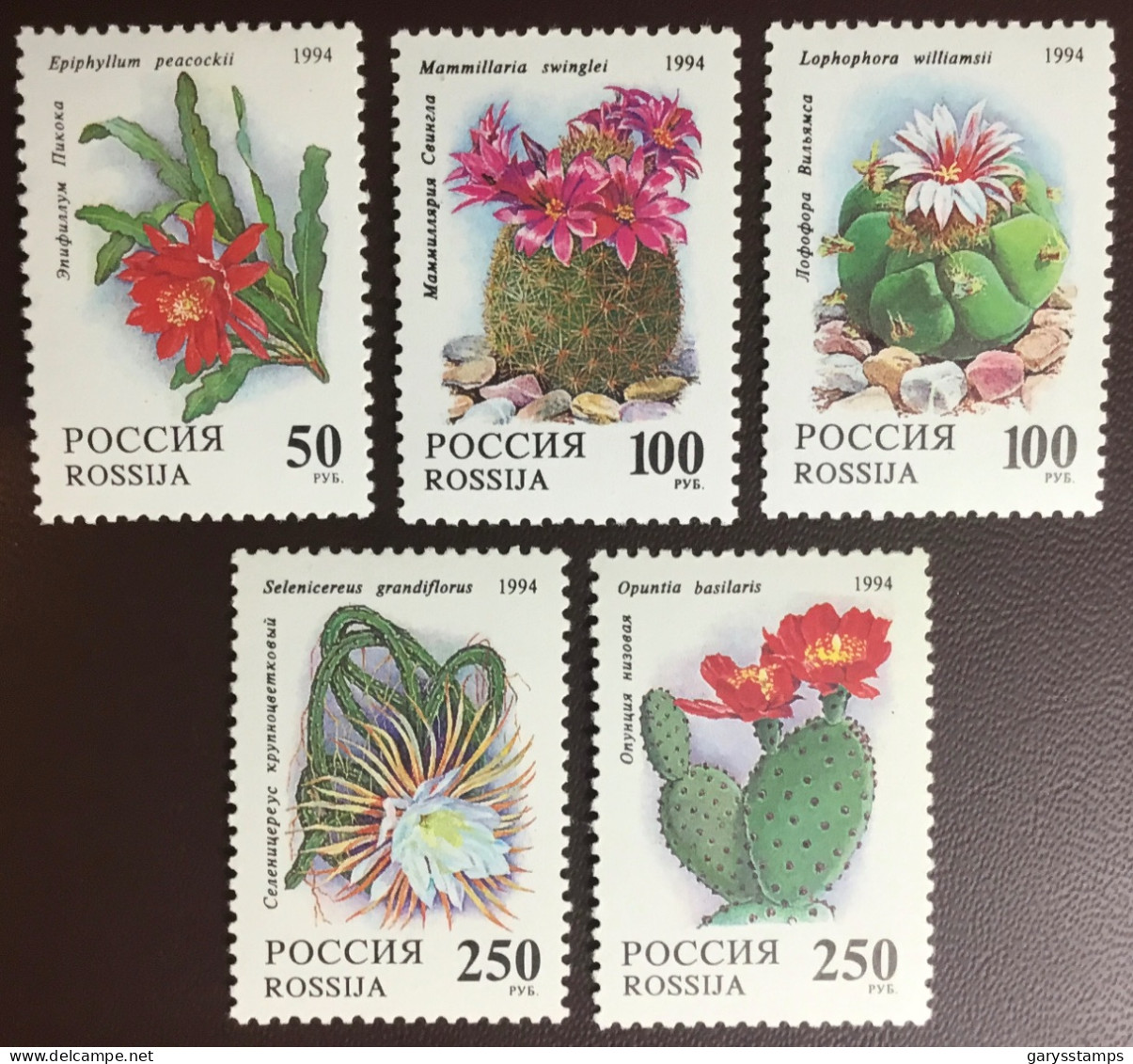 Russia 1994 Cacti MNH - Sukkulenten