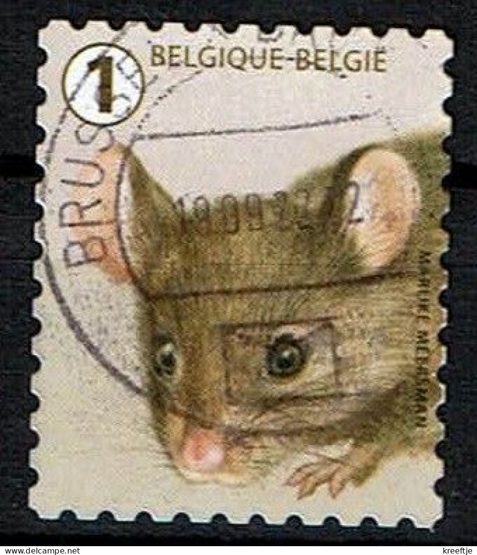 Huismuis Uit 2020 (OBP 4959 ) - Used Stamps