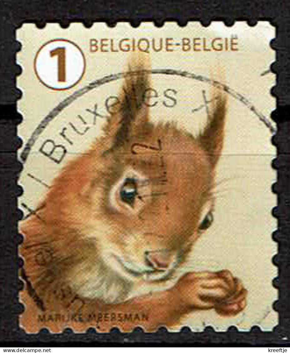 Eekhoorn Uit 2020 (OBP 4953 ) - Used Stamps