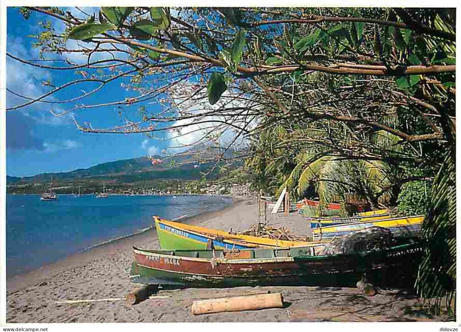 Antilles - Plage De Daint Pierre - CPM - Voir Scans Recto-Verso - Andere & Zonder Classificatie