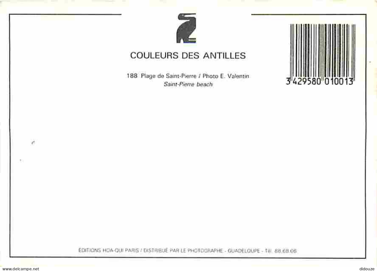 Antilles - Plage De Daint Pierre - CPM - Voir Scans Recto-Verso - Sonstige & Ohne Zuordnung