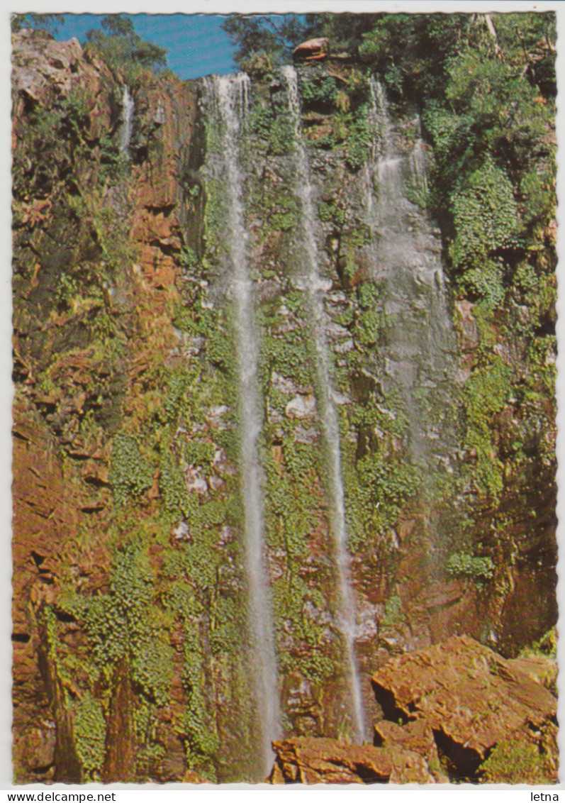 Australia QUEENSLAND QLD Queen Mary Waterfalls KILLARNEY WARWICK Samuel Lee No.1050 Postcard C1970s - Andere & Zonder Classificatie