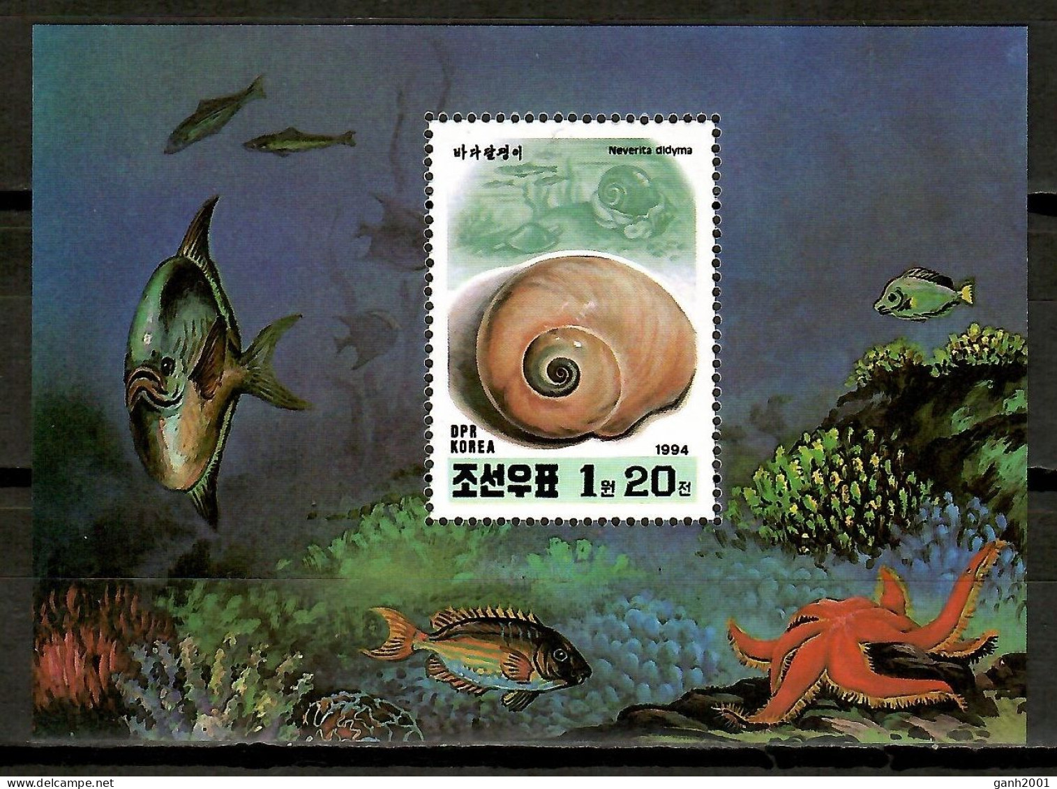Korea 1994 Corea / Shells MNH Conchas Caracolas Conches / Lv01  7-33 - Conchas