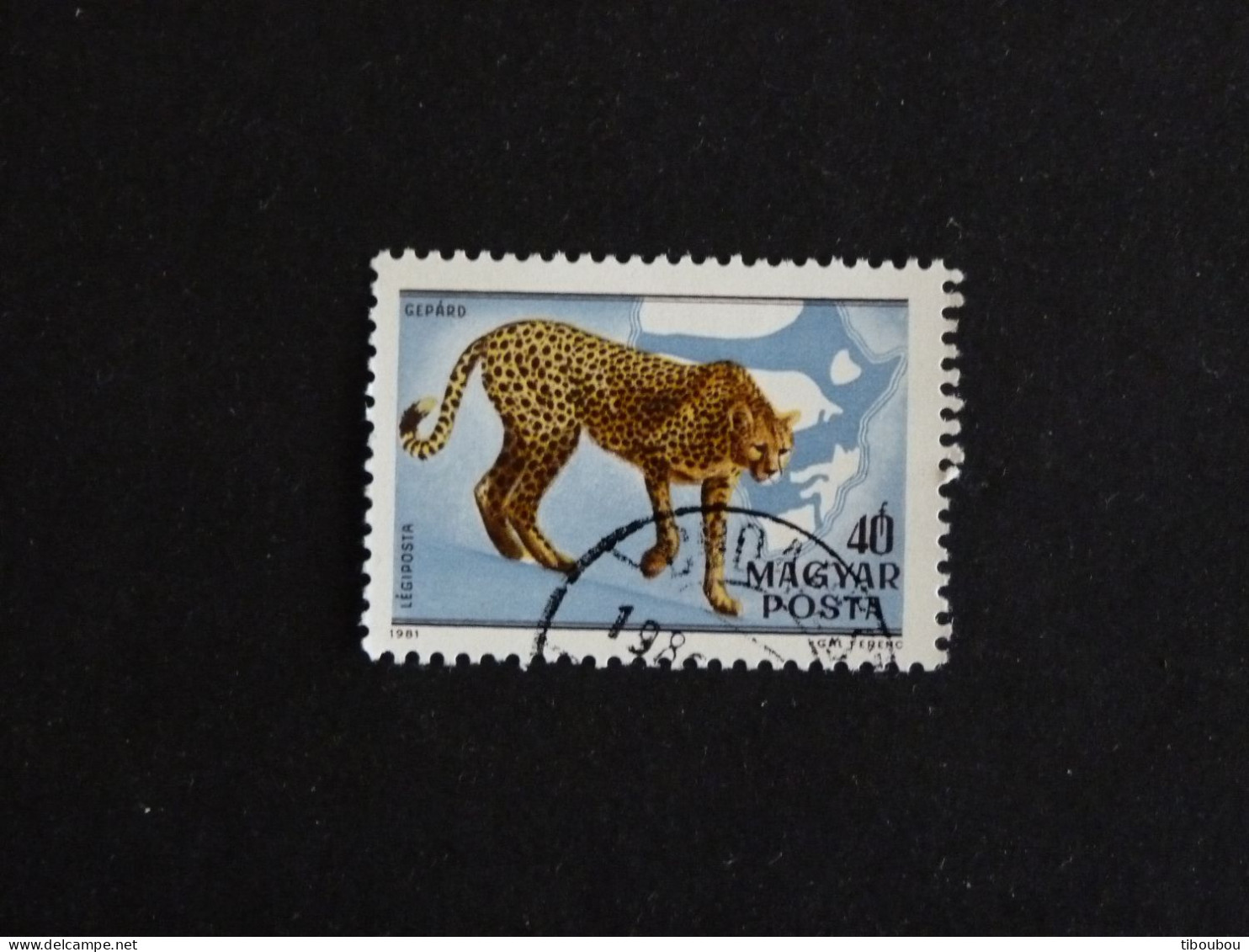 HONGRIE HUNGARY MAGYAR YT PA 436 OBLITERE - ZOOLOGISTE KALMAN KITTENBERGER / GUEPARD - Used Stamps