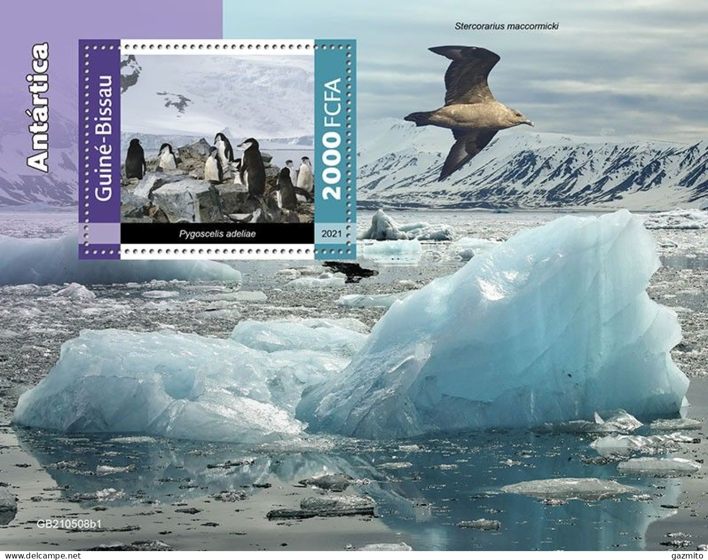 Guinea Bissau 2021, Animals Antartic, Penguin, Birds, BF - Pinguine