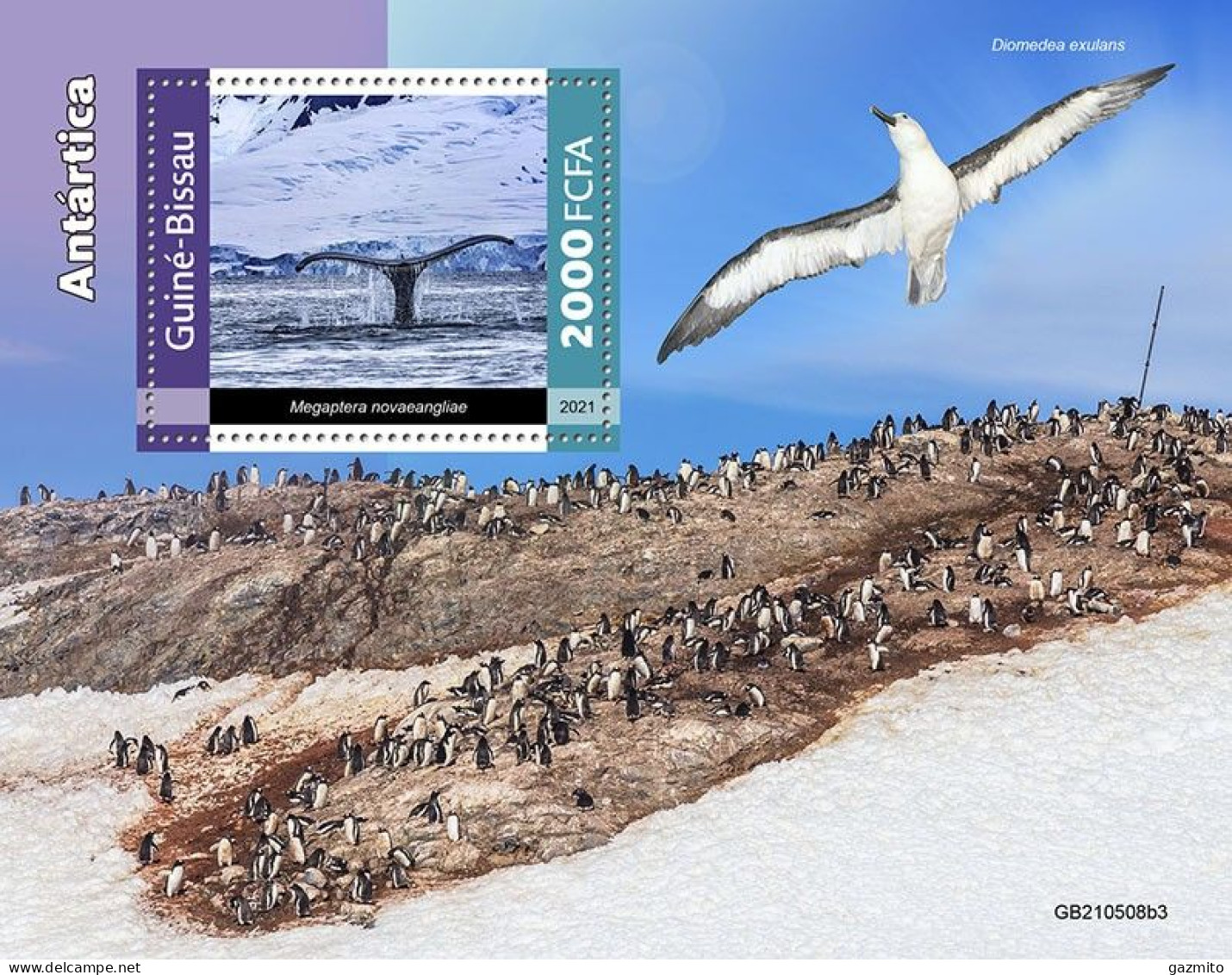 Guinea Bissau 2021, Animals Antartic, Whale, Penguin, Birds, BF - Palmípedos Marinos