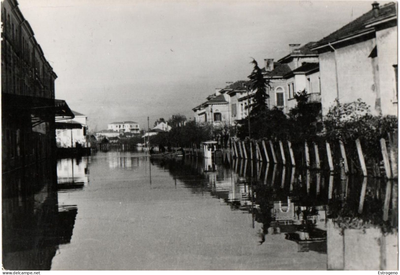 Rovigo Via Dl Sacro Cuore Alluvione Novembre 1951 - Rovigo