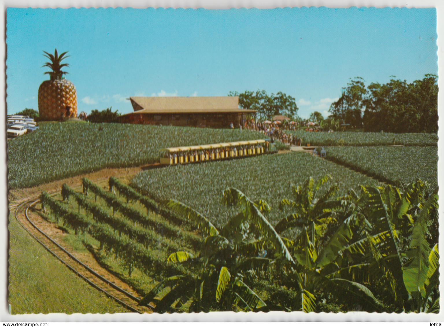 Australia QUEENSLAND QLD Train Big Pineapple Plantation NAMBOUR Murray Views W104 Postcard C1970s - Sunshine Coast