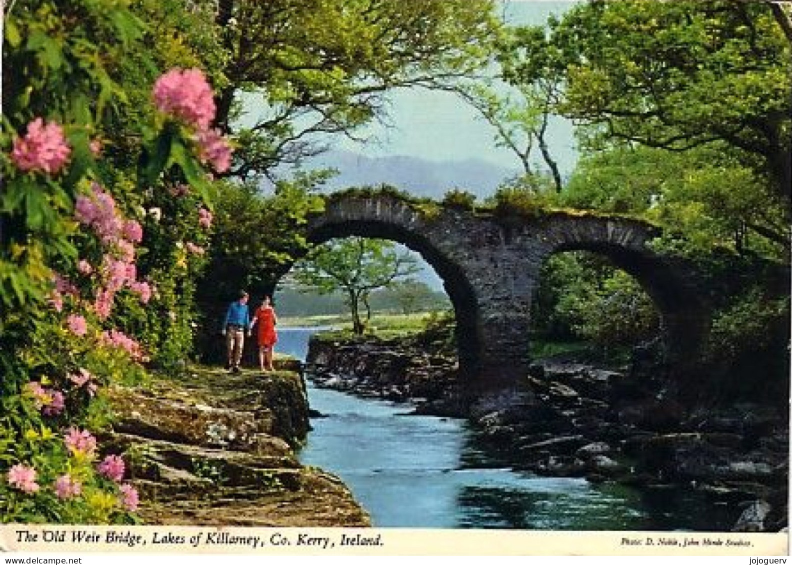 Old Weir Bridge Killarney Co Kerry ( Pont De Pierres , Détails Au Dos  , Printed à Dublin - Kerry