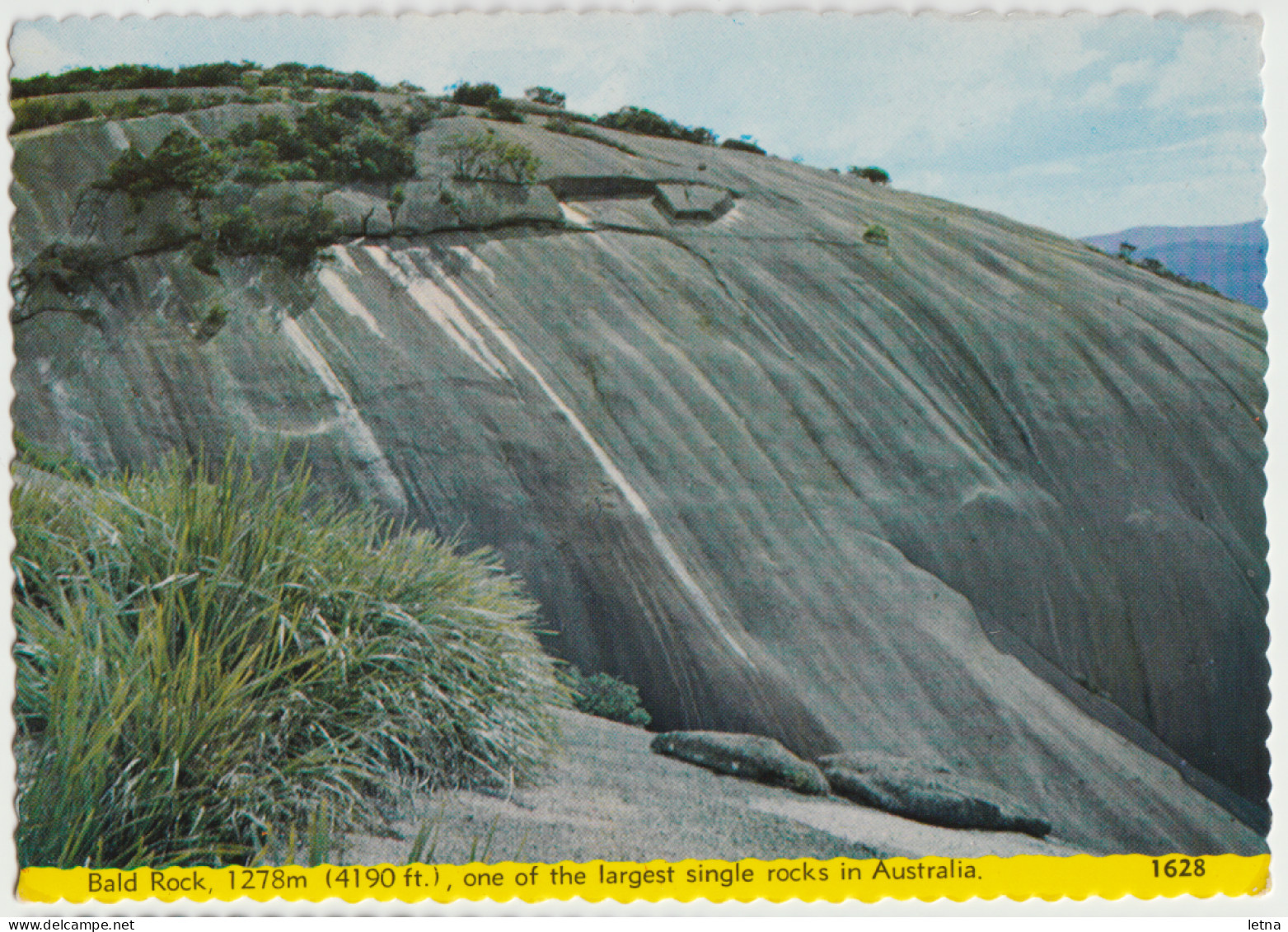 Australia QUEENSLAND QLD Bald Rock GIRRAWEEN NATIONAL PARK Samuel Lee No.1628 Postcard C1970s - Otros & Sin Clasificación