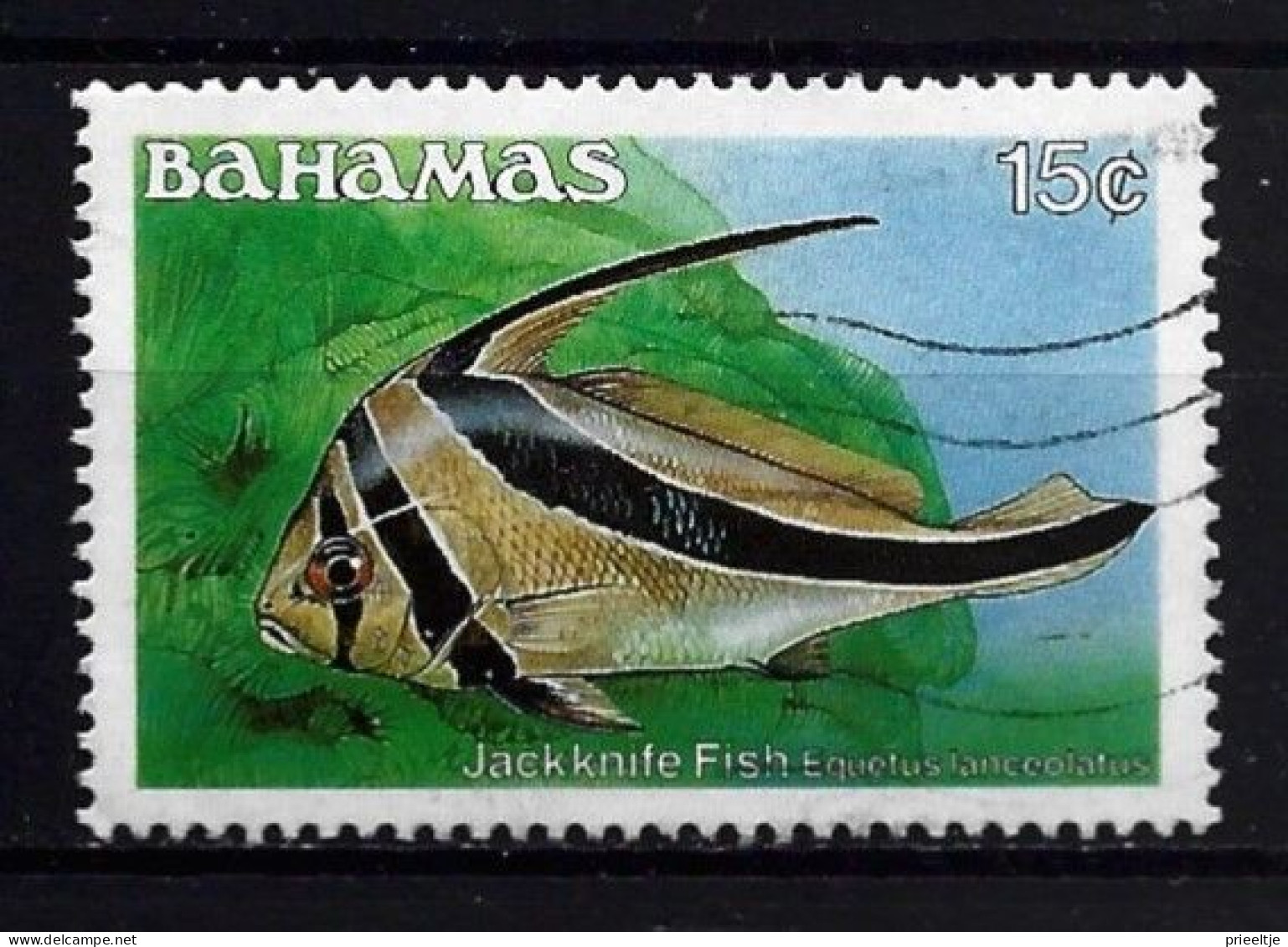Bahamas 1986 Fish  Y.T. 604 (0) - Bahamas (1973-...)