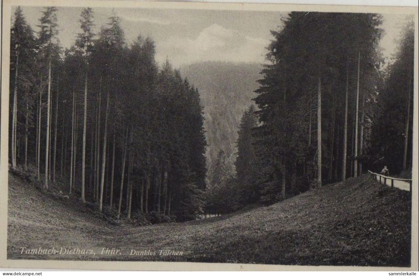 32063 - Tambach-Dietharz - Dunkles Tälchen - Ca. 1955 - Tambach-Dietharz