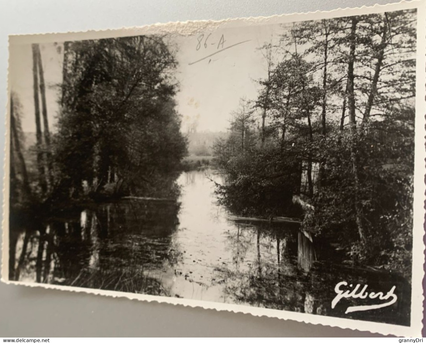 86 Environ De Charroux Bords De La Charente A Asnois -ed Gilbert 919 - Charroux