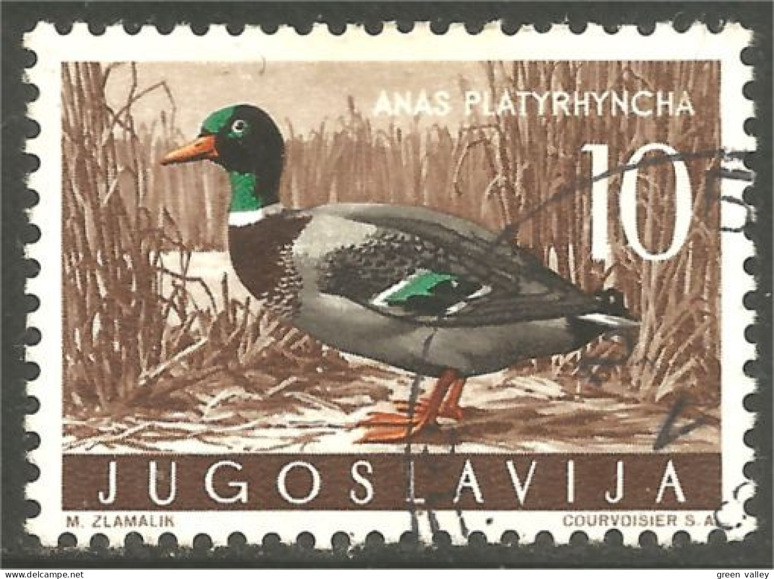 XW01-3129 Yougoslavie Oiseau Canard Bleu Blue Duck Bird Ente Anatra Pato - Entenvögel