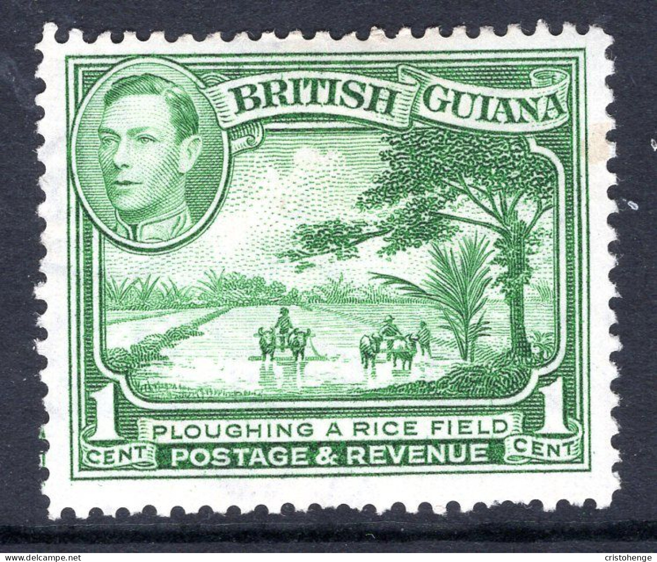 British Guiana 1938-52 KGVI Pictorials - 1c Ploughing A Rice Field - P.12½ - Yellow-green HM (SG 308) - Guayana Británica (...-1966)