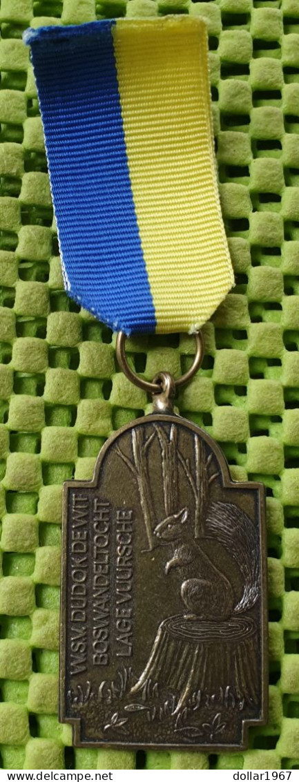 Medaille -   W.S.V Dudok De Wit, Boswandeltocht Lage Vuursche + 1950  -  Original Foto  !!  Medallion  Dutch - Autres & Non Classés